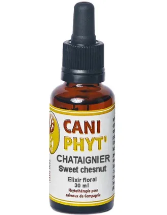 Sweet Chestnut Caniphyt - Fleurs de Bach