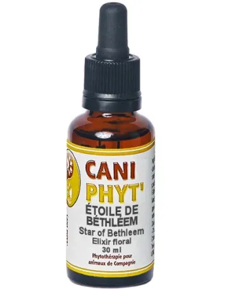 Etoile de Béthléem Caniphyt - Fleurs de Bach