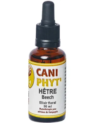 Hêtre Caniphyt - Fleurs de Bach