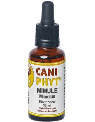Mimule Caniphyt - Fleurs de Bach