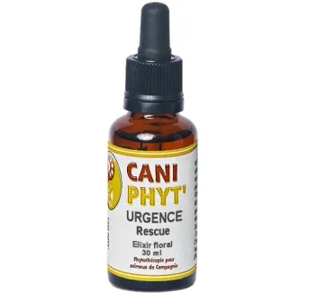 Urgence Rescue Caniphyt - Fleurs de Bach