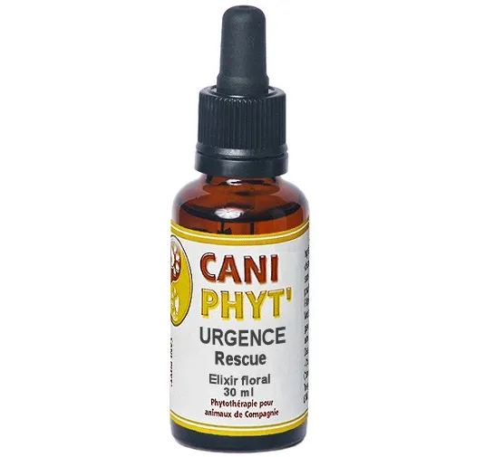Urgence Rescue Caniphyt - Fleurs de Bach