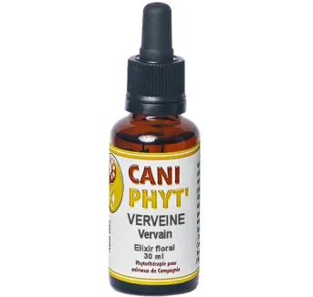 Verveine Caniphyt - Fleurs de Bach.