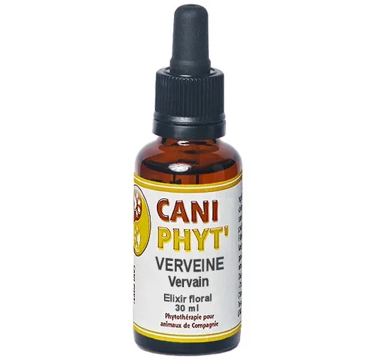 Verveine Caniphyt - Fleurs de Bach.