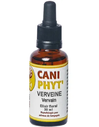 Verveine Caniphyt - Fleurs de Bach.