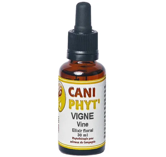 Vigne Caniphyt - Fleurs de Bach