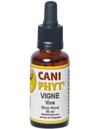 Vigne Caniphyt - Fleurs de Bach