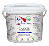 Cassis Labofloral - Chevaux