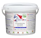 Chardon Marie Labofloral - Chevaux
