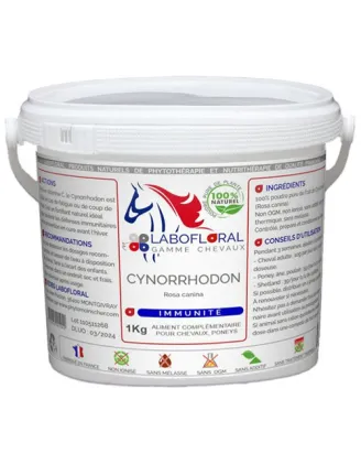 Cynorrhodon chevaux - Labofloral