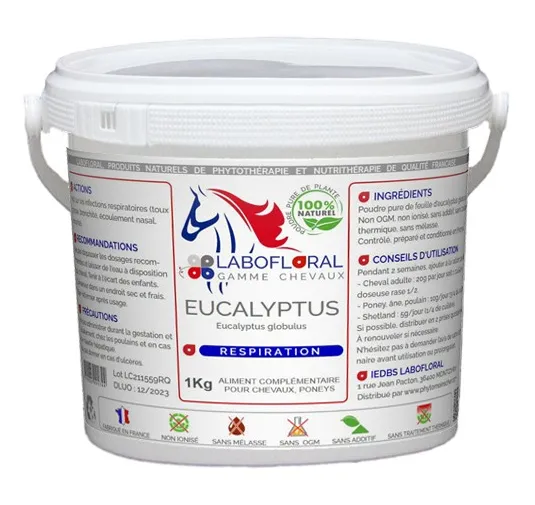 Eucalyptus chevaux - Labofloral
