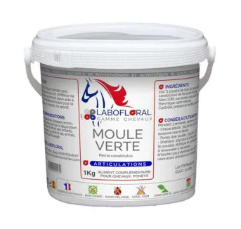 Moule verte chevaux - Labofloral en poudre