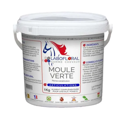 Moule verte chevaux - Labofloral en poudre