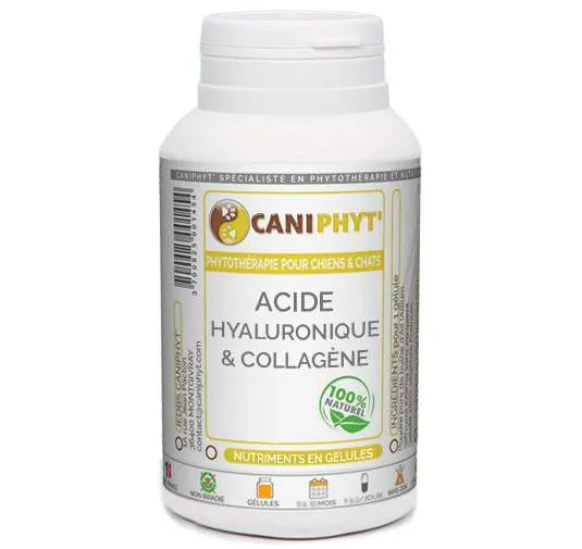 Acide Hyaluronique + Collagène  Caniphyt Chiens Chats