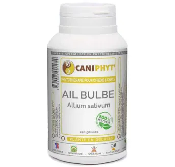Ail bulbe - Caniphyt