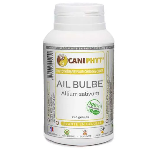 Ail bulbe - Caniphyt