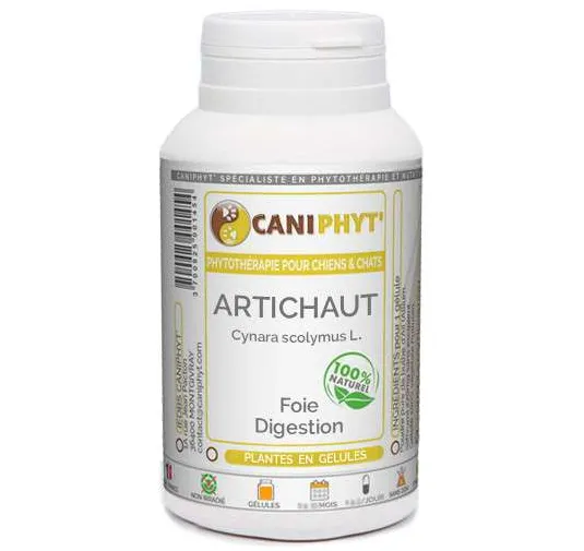 Artichaut Caniphyt Chiens Chats