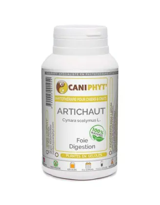 Artichaut Caniphyt Chiens Chats