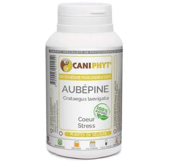 Aubépine  Caniphyt Chiens Chats