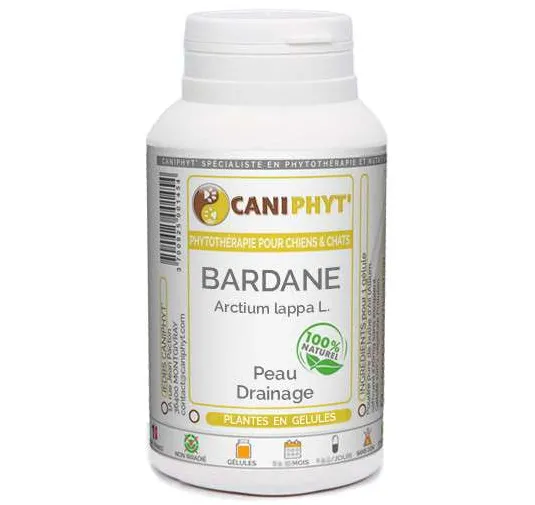 Bardane  Caniphyt Chiens Chats