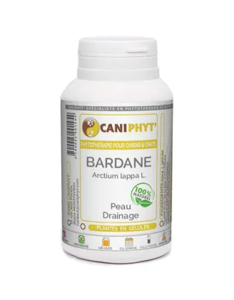 Bardane  Caniphyt Chiens Chats