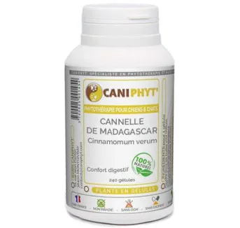 Cannelle Caniphyt Chiens Chats