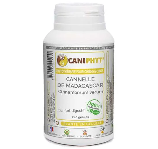 Cannelle Caniphyt Chiens Chats
