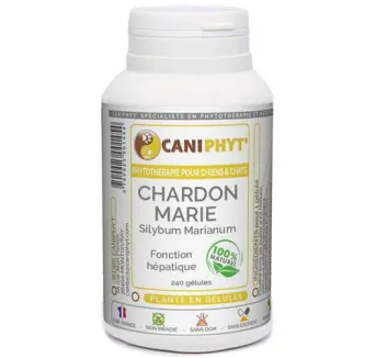 Chardon Marie Caniphyt Chiens Chats