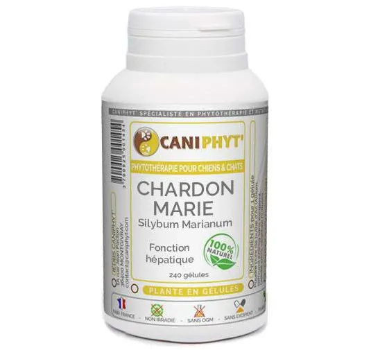 Chardon Marie Caniphyt Chiens Chats