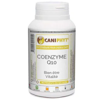 Coenzyme Q10 Caniphyt Chiens Chats