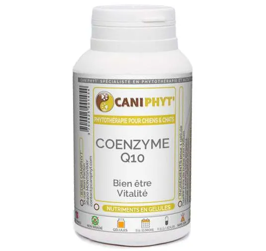 Coenzyme Q10 Caniphyt Chiens Chats