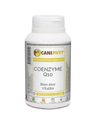 Coenzyme Q10 Caniphyt Chiens Chats
