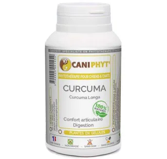 Curcuma Caniphyt - Chiens/Chats
