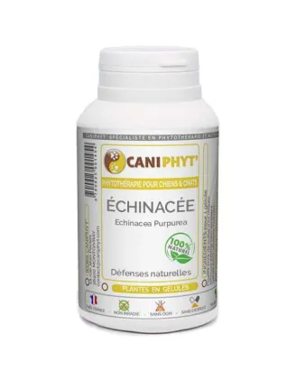 Échinacée Caniphyt - Chiens/Chats