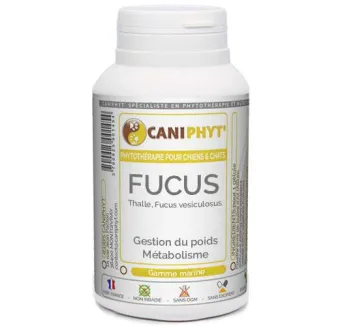 Fucus Caniphyt - Chiens/Chats