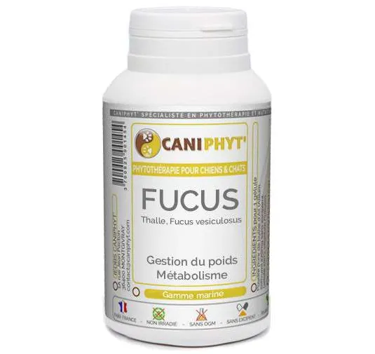 Fucus Caniphyt - Chiens/Chats