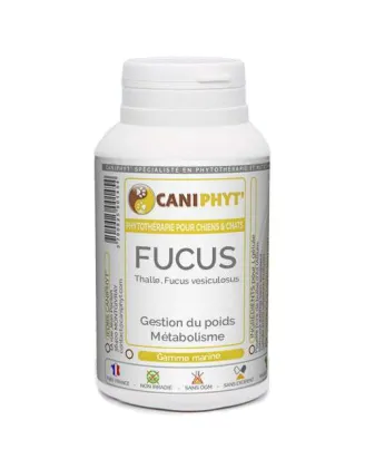 Fucus Caniphyt - Chiens/Chats