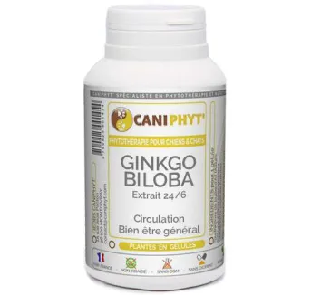 Ginkgo Biloba Caniphyt - Chiens/Chats