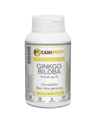 Ginkgo Biloba Caniphyt - Chiens/Chats