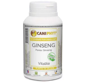 Ginseng Caniphyt - Chiens/Chats