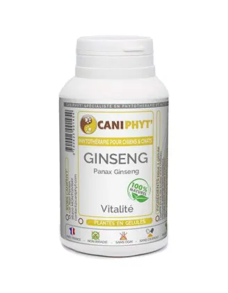 Ginseng Caniphyt - Chiens/Chats