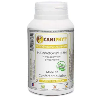 Harpagophytum Caniphyt - Chiens/Chats