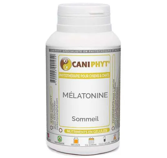 Mélatonine Caniphyt Chiens Chats