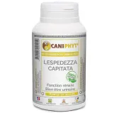 Lespedezza Caniphyt - Chiens/Chats Lespedezza Caniphyt - Chiens/Chats