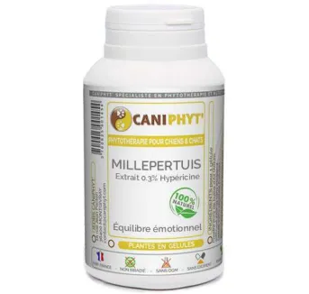 Millepertuis Caniphyt Chiens Chats