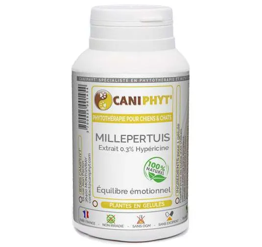 Millepertuis Caniphyt Chiens Chats