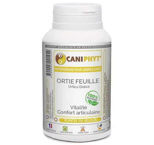 Ortie feuille Caniphyt Chiens Chats
