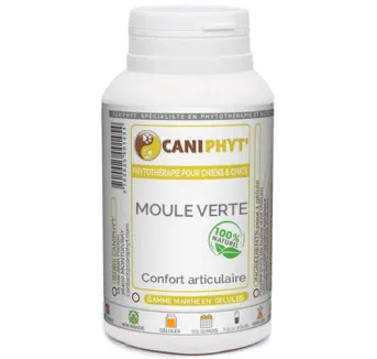 Moule verte - Caniphyt