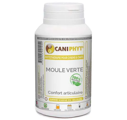 Moule verte - Caniphyt