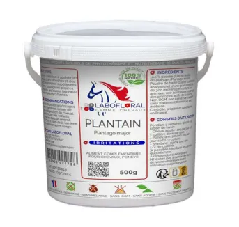 Plantain Labofloral - Chevaux